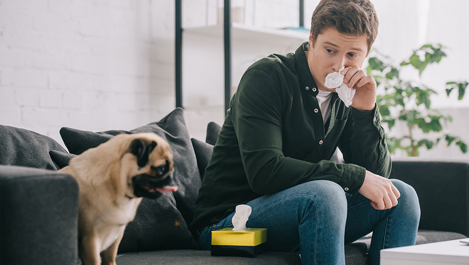 Getting an air purifier is one of the wisest ways to enhance your house’s indoor air quality. Learn more about the three top products. 